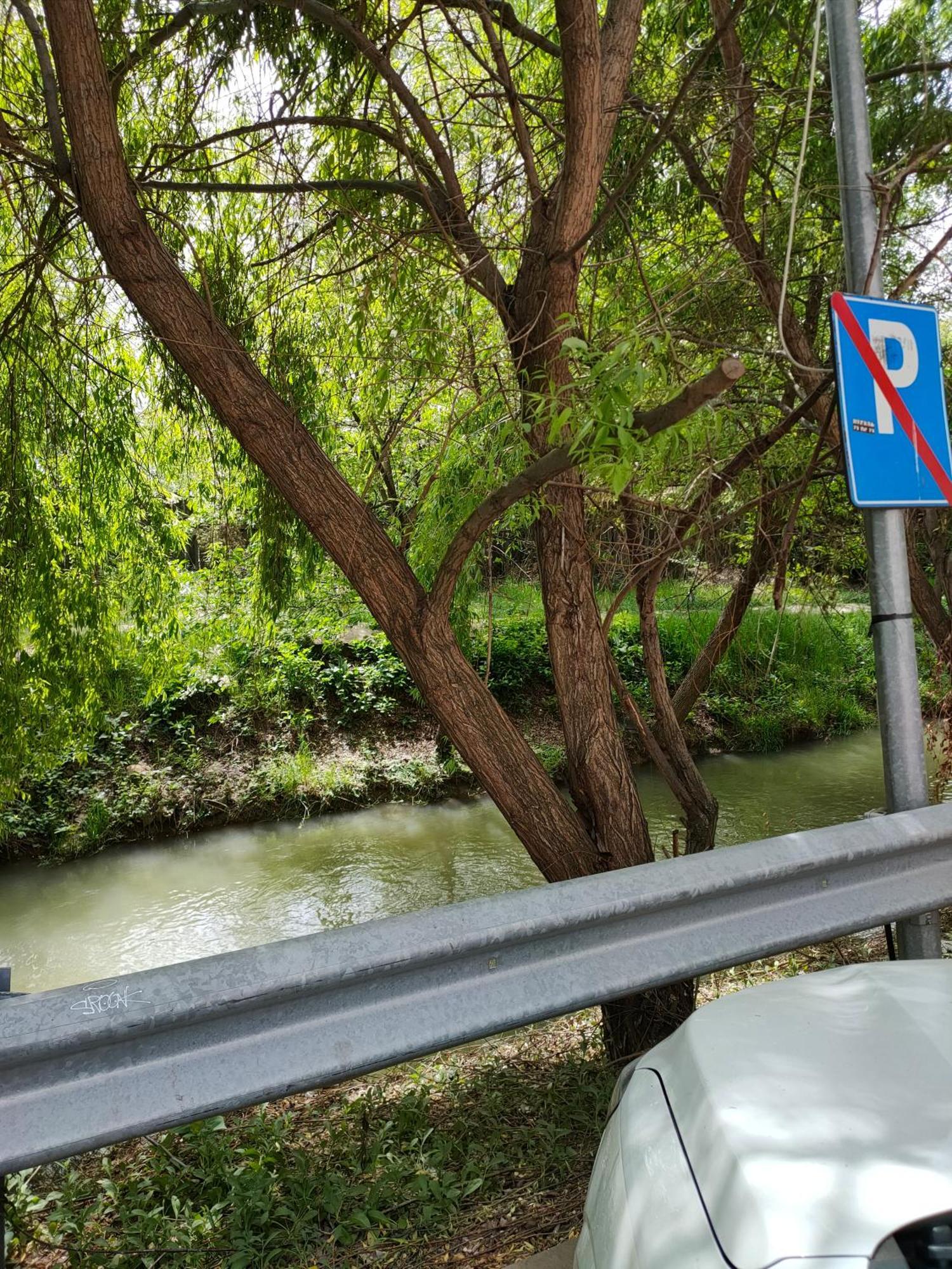 Cozy Apartment Bucharest Roşu Esterno foto